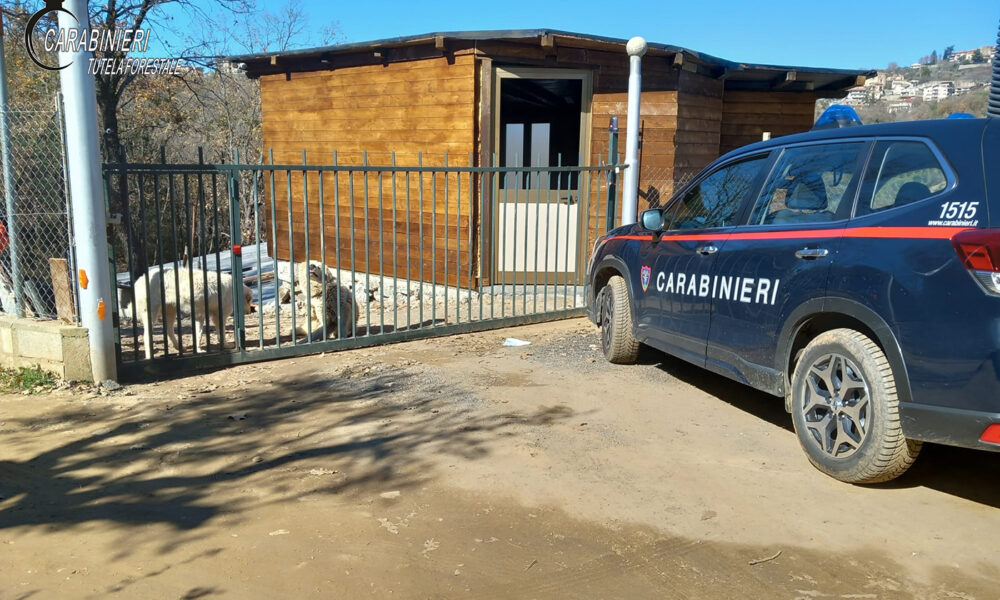 Casali del Manco, sequestrato un box da cantiere in lamiera: denunciato un cosentino