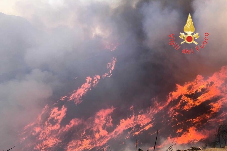 La Calabria stretta nella morsa delle fiamme, 80 i roghi attivi. Una vittima a Cardeto