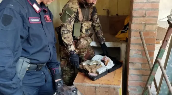 ‘Alto impatto’, nuovo blitz dei carabinieri: sequestrate armi e droga anche a Lamezia