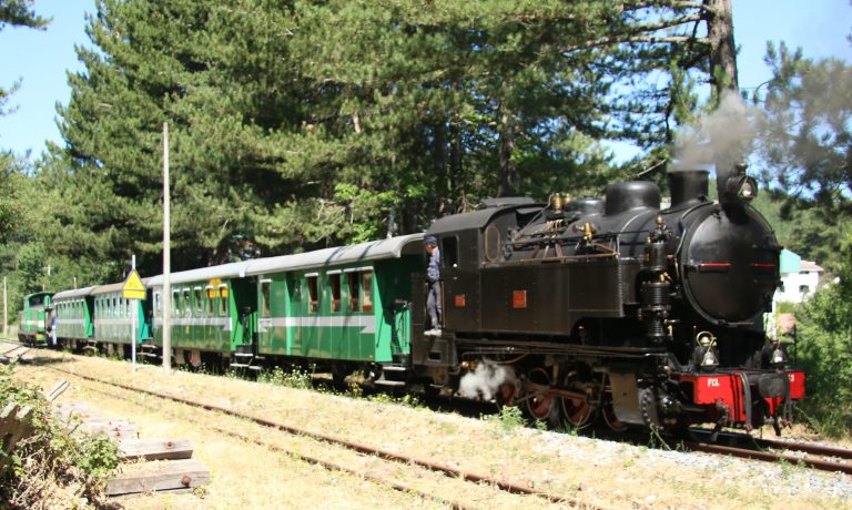 Treno-della-Sila