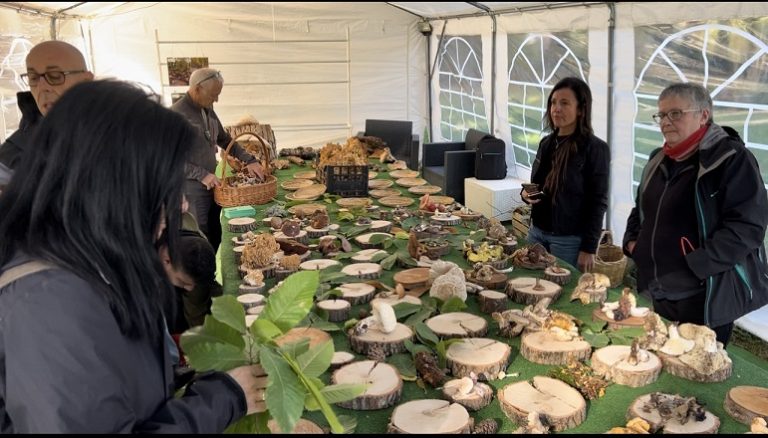 Mostra-micologica