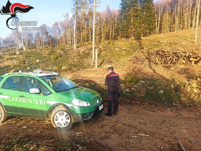 Longobardi: una pista abusiva in un bosco, rifiuti abbandonati e bruciati in centro. Scattano multe e denunce