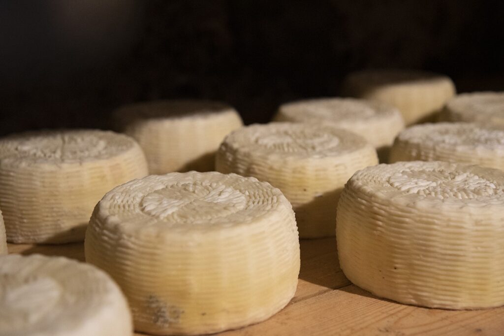 Thumbnail pecorino