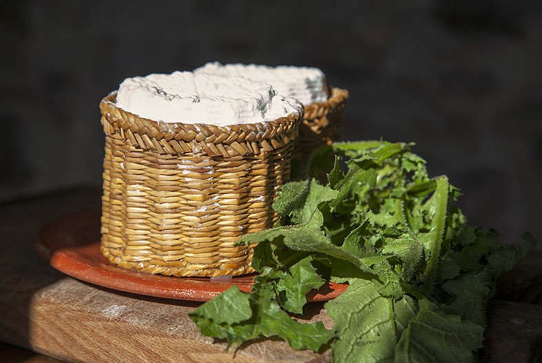 Thumbnail ricotta cicoria cardeto