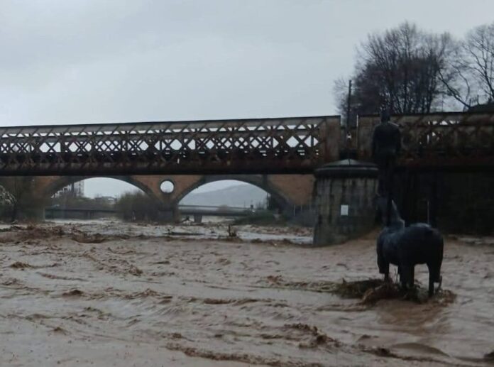 WhatsApp Image 2026 02 14 at 10.10.02