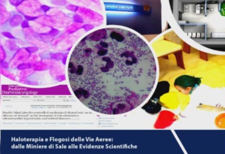 WhatsApp Image 2026 02 25 at 18.16.42