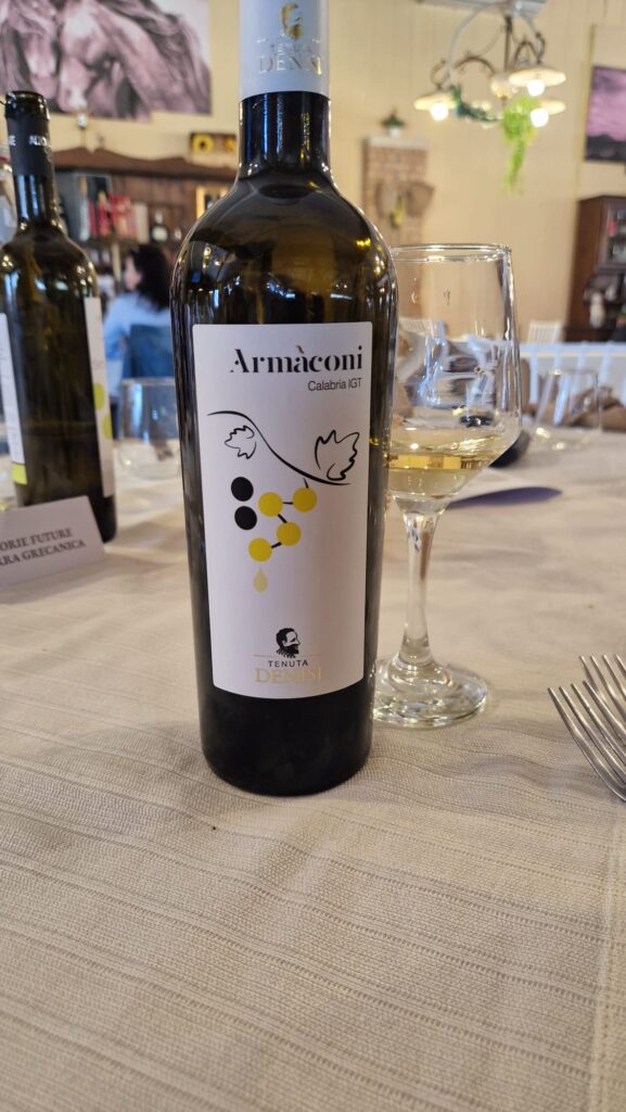 WhatsApp Image 2026 04 21 at 11.05.42 (1)