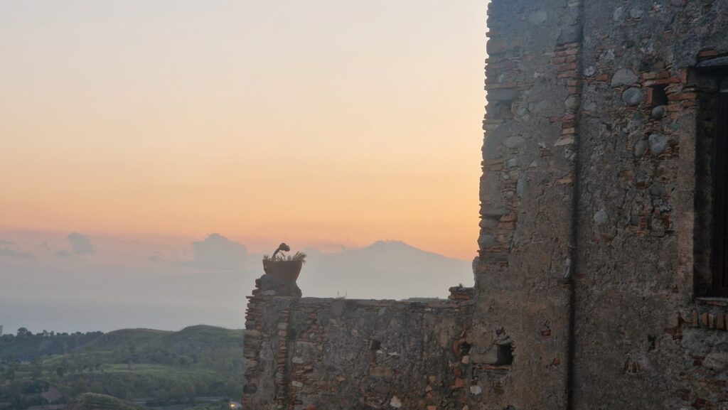 WhatsApp Image 2026 04 21 at 11.05.47