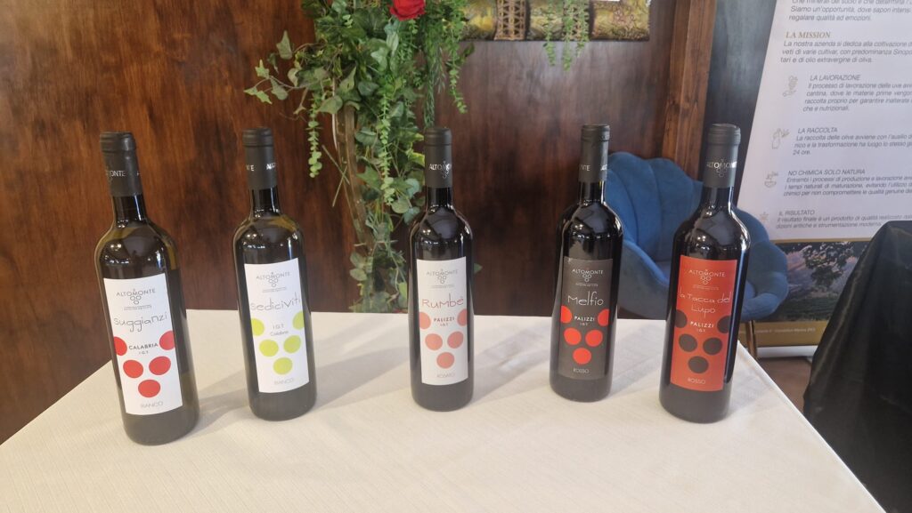 WhatsApp Image 2026 04 21 at 11.11.59 (1)