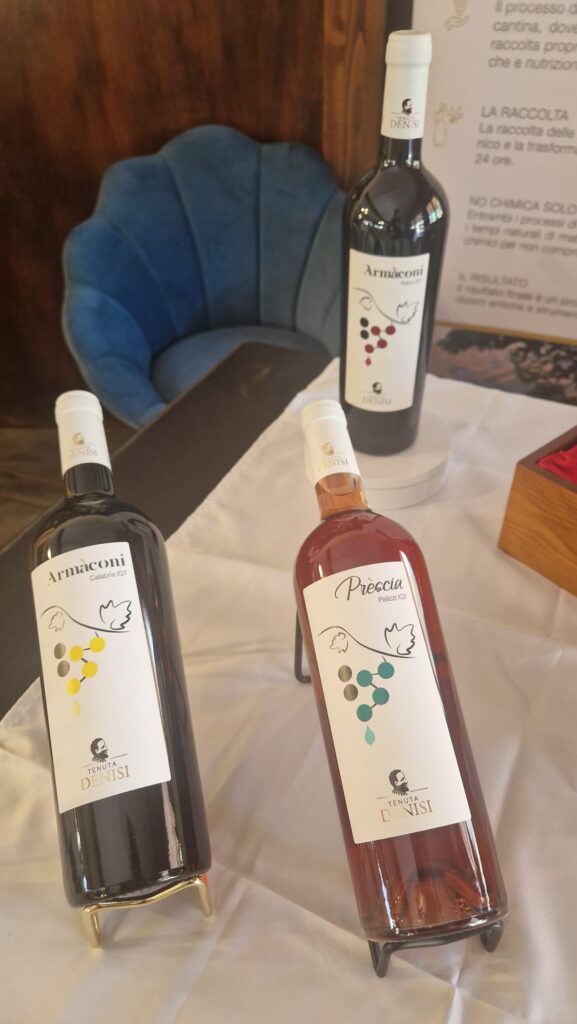 WhatsApp Image 2026 04 21 at 11.11.59 (2)